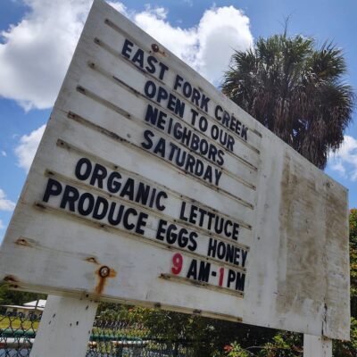 116061569_3209529595773368_8807788974748540746_n