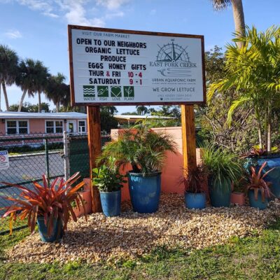 136753256_3657643130962010_6630710796193964108_n