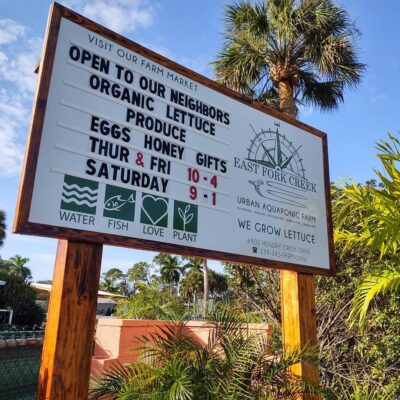 137225619_3657643127628677_4659817682638624922_n