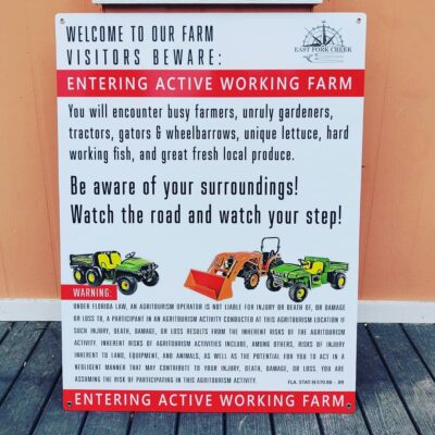 155996730_3800304573362531_8543567297344662389_n